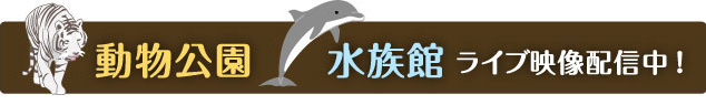 平川動物公園・かごしま水族館ライブカメラ映像の配信