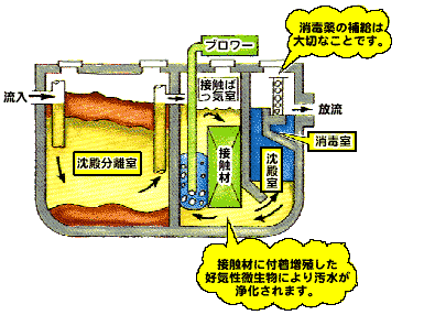 分離接触ばっ気方式の浄化槽の仕組みを示すイラスト
