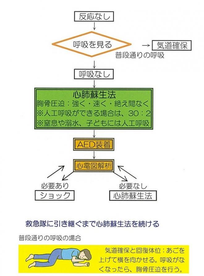 心肺 蘇生 法 ガイドライン 2020