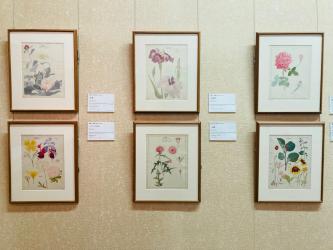 五葉百花譜・展示風景２