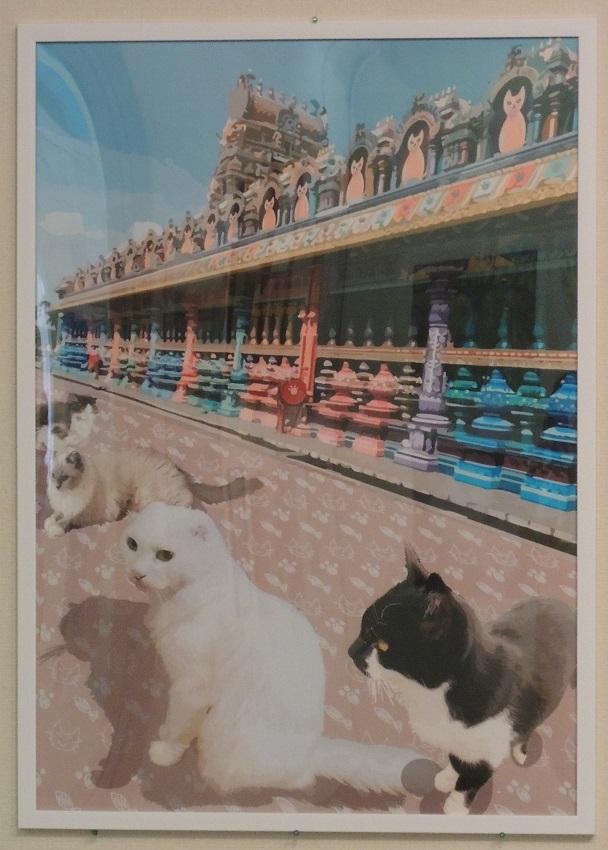 山元未空《ようこそ！猫の国へ》