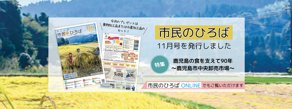 市民のひろば11月号を発行しました