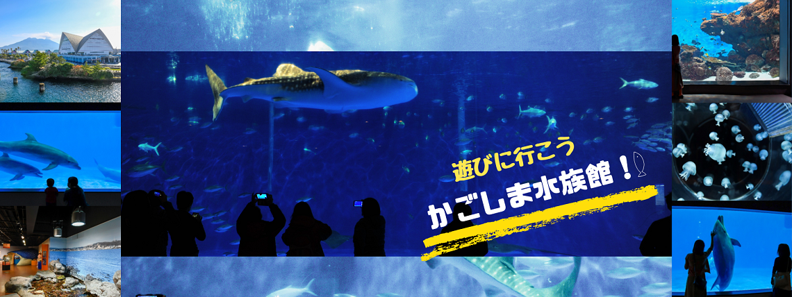 遊びに行こう、かごしま水族館