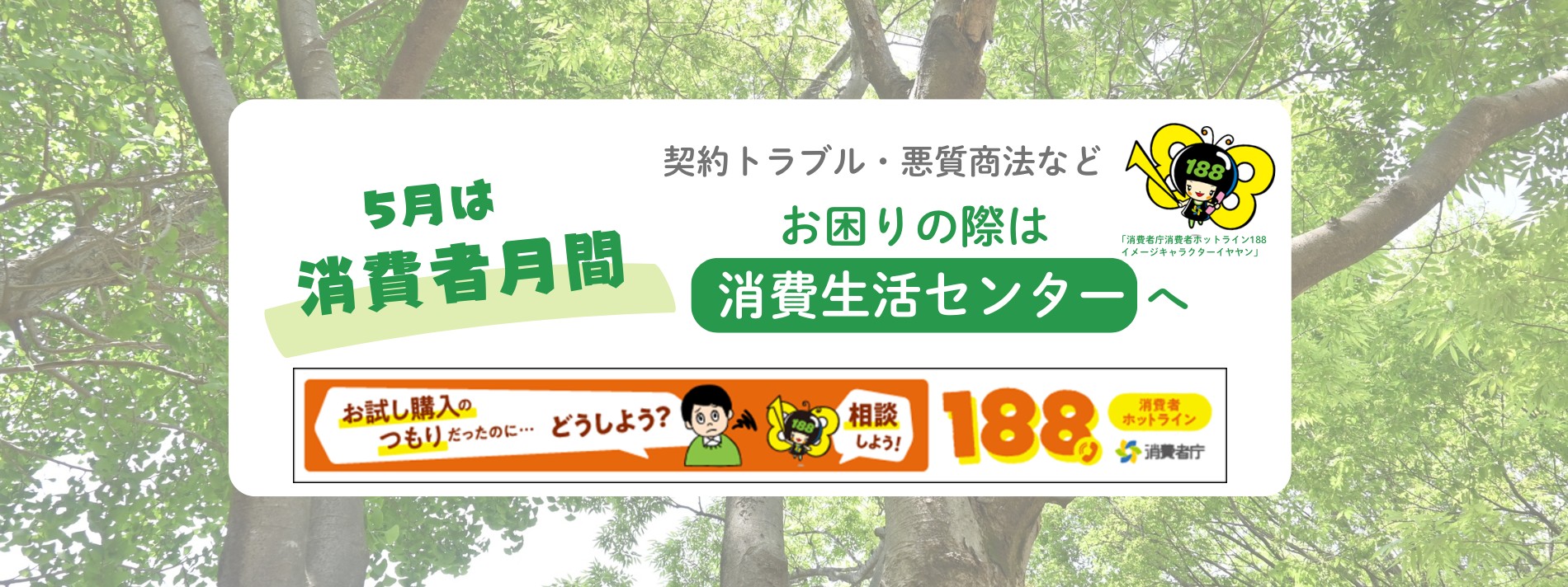 5月は消費者月間です