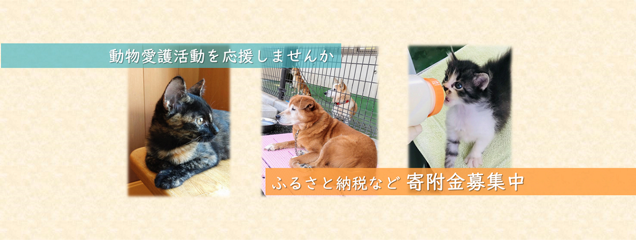 動物愛護活動を応援しませんか2