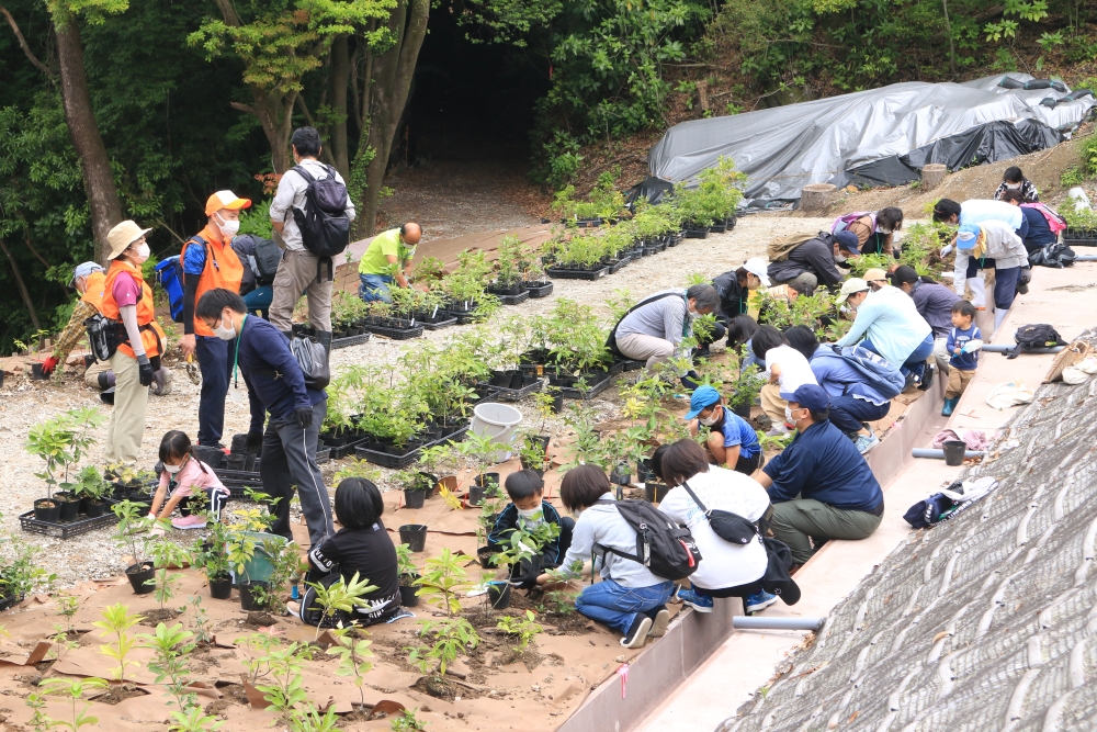植樹イベント(遠景)