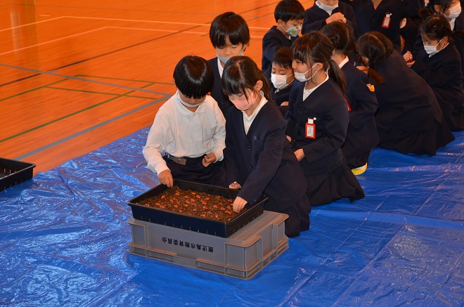 種まきの様子(12月9日)