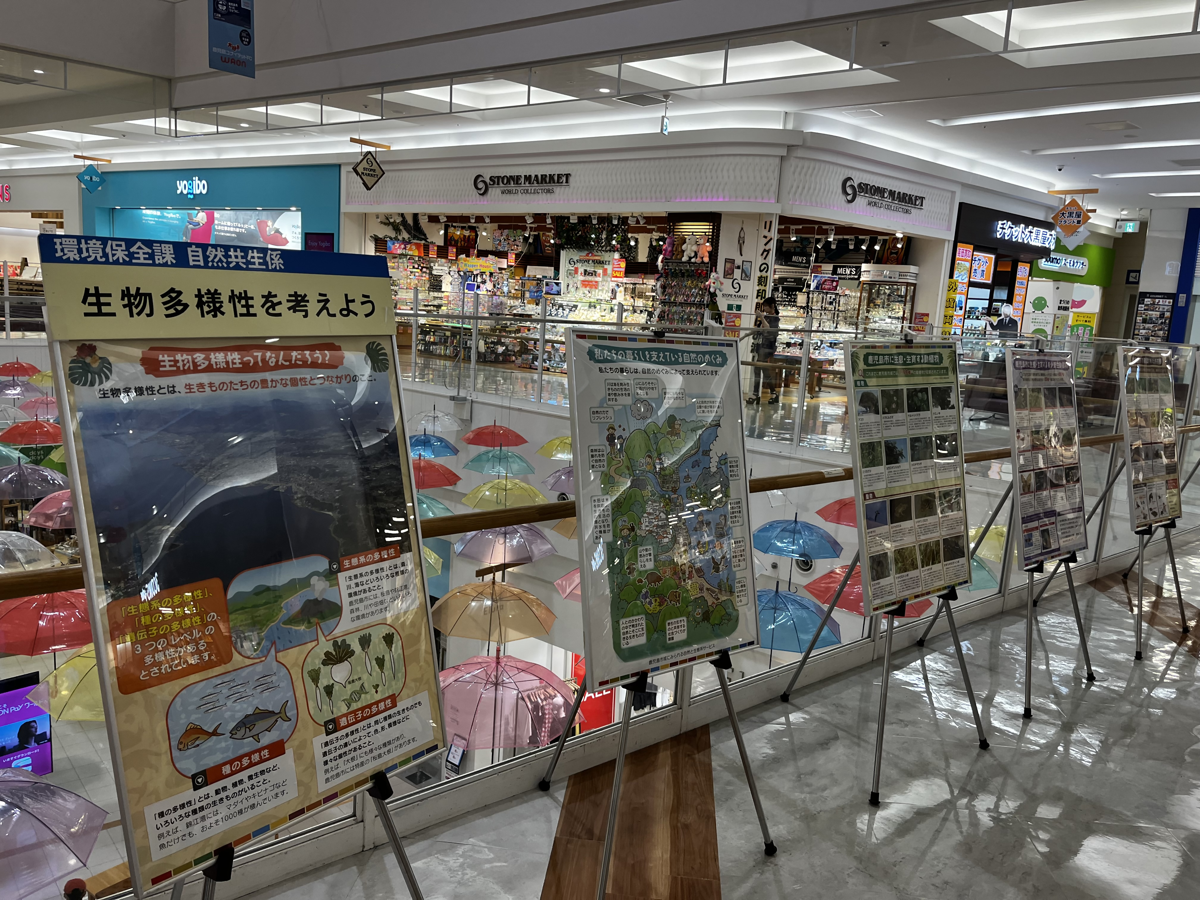 イオンパネル全景