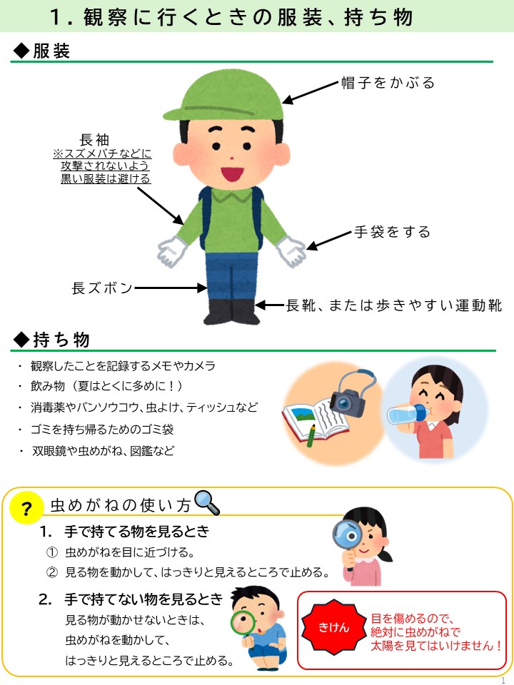 自然観察の手引き服装