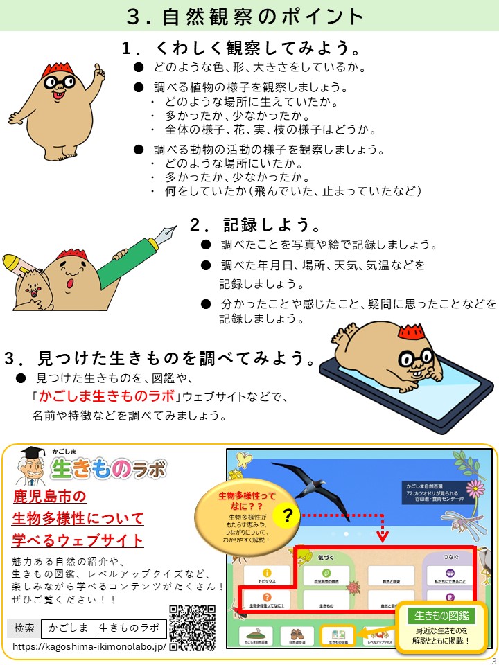 自然観察ポイント