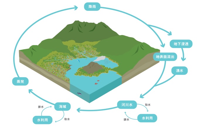 水循環の概念図（錦江湾奥）