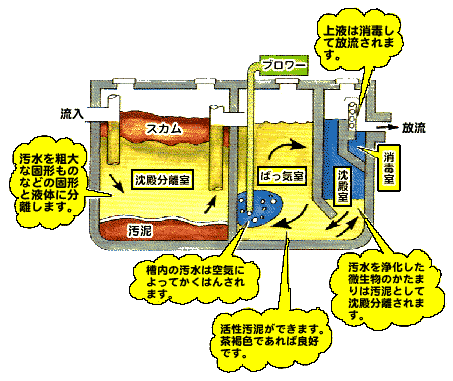 分離ばっ気方式の浄化槽の仕組みを示すイラスト