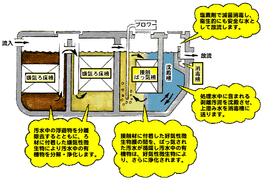 嫌気ろ床接触ばっ気方式の浄化槽の仕組みを示すイラスト