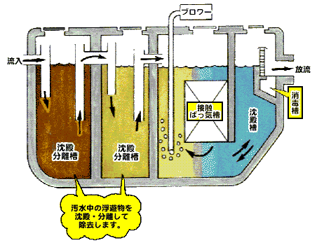 接触ばっ気方式の浄化槽の仕組みを示すイラスト
