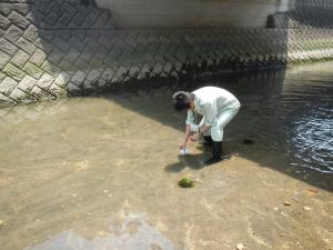 河川水の採水の様子