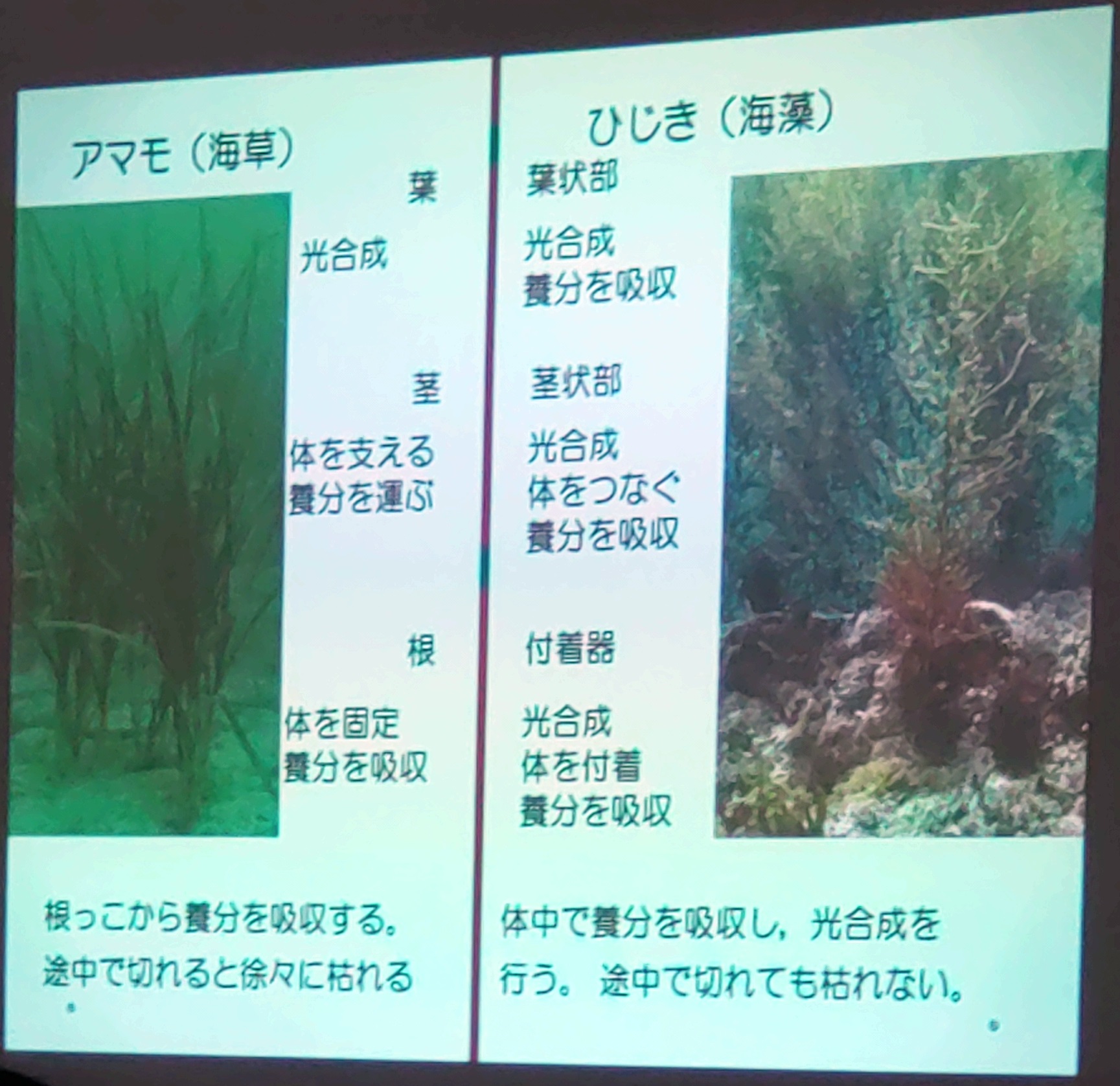 第3回体験講座の写真4
