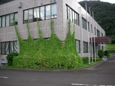 写真：平川浄水場緑のカーテン