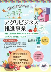チラシ画像