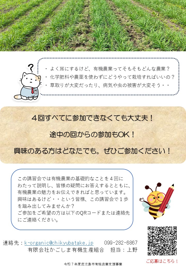 ちらし裏面