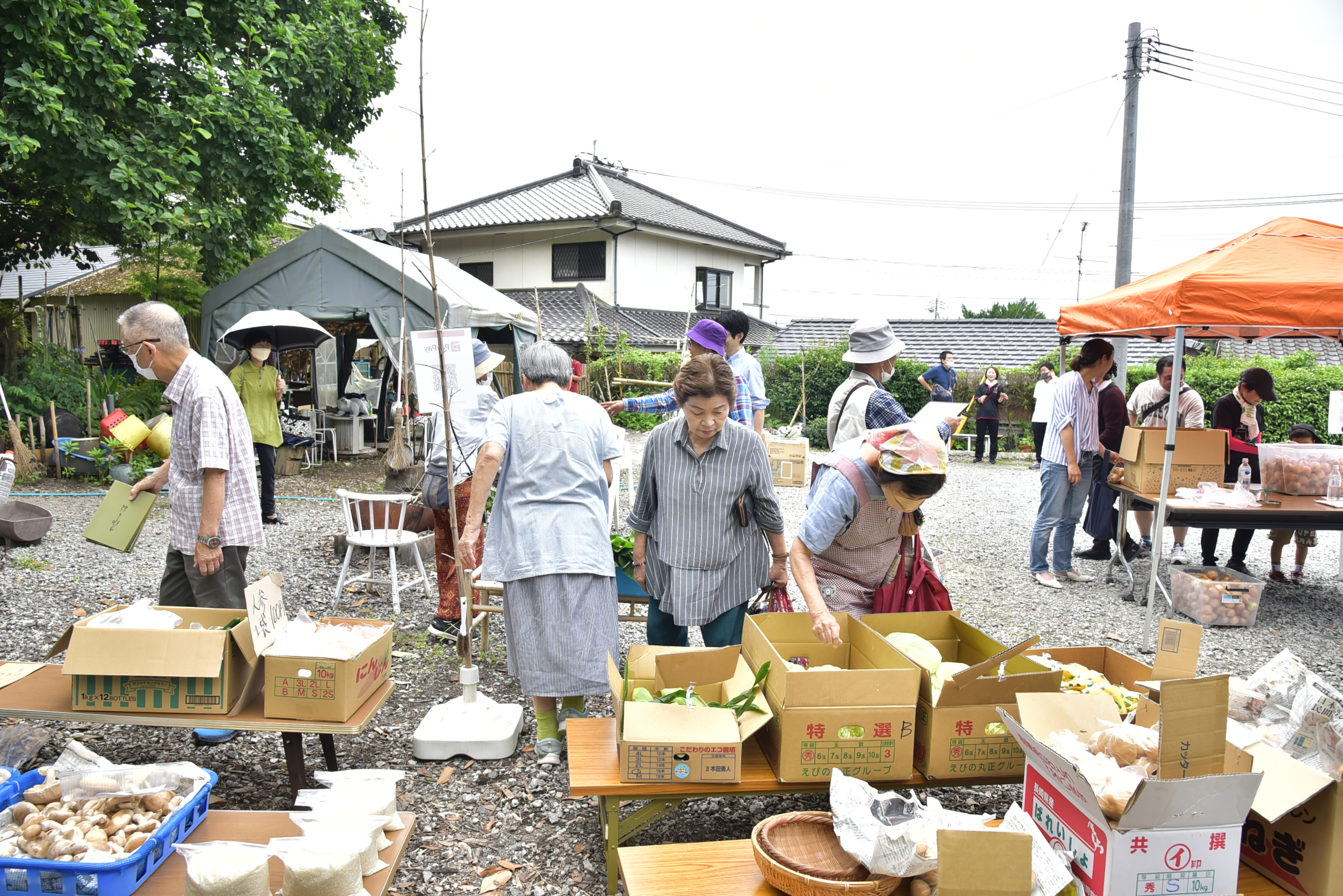 活動写真1