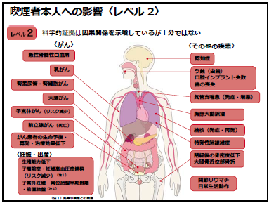 喫煙者本人への影響（レベル2：科学的根拠は因果関係を示唆しているが十分ではない。）