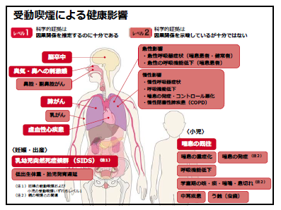 受動喫煙による健康影響