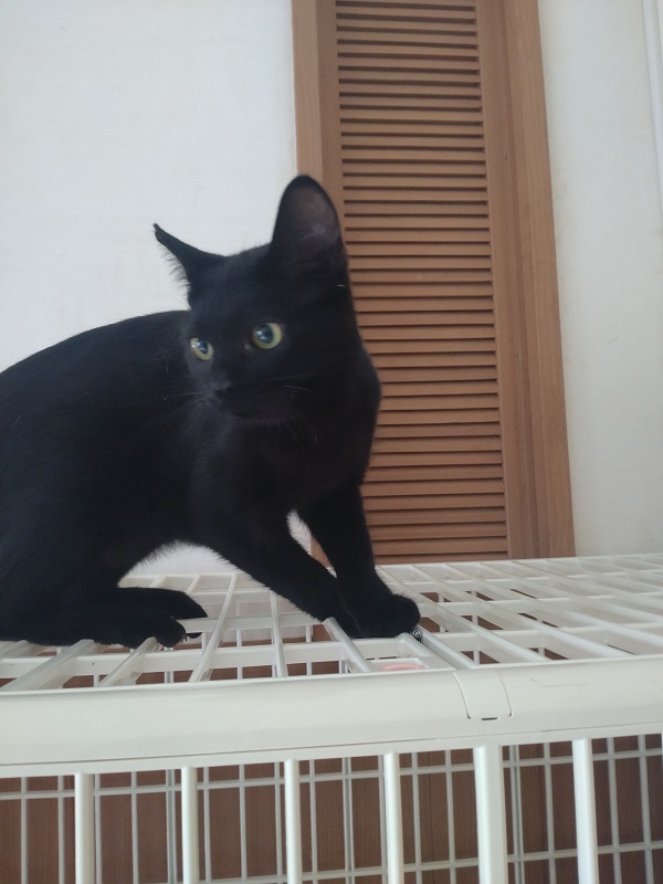 くーちゃん