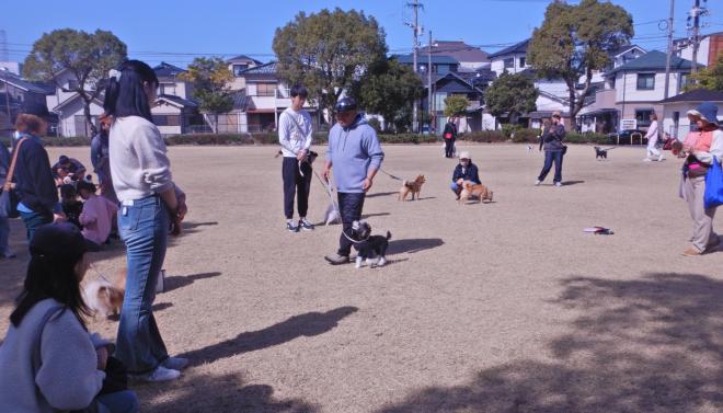 しつけ方教室全体1