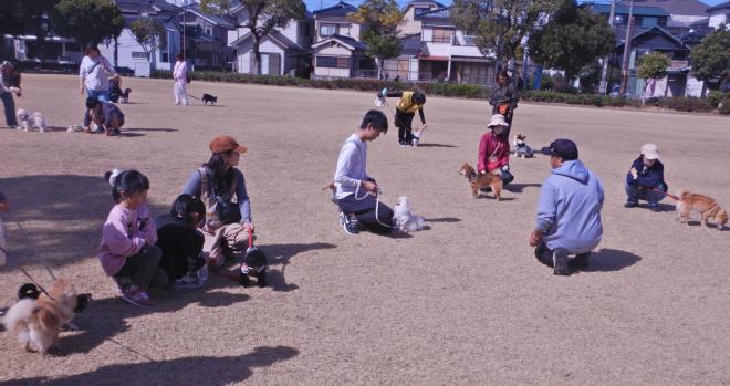 しつけ方教室全体2