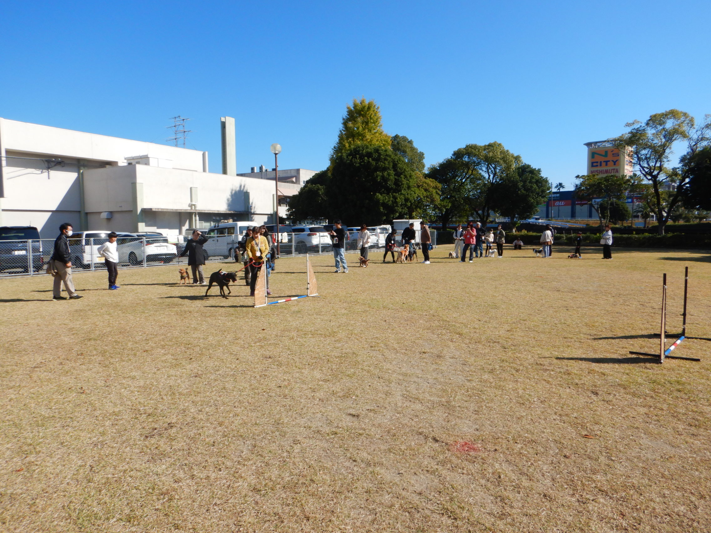 しつけアジリティ3