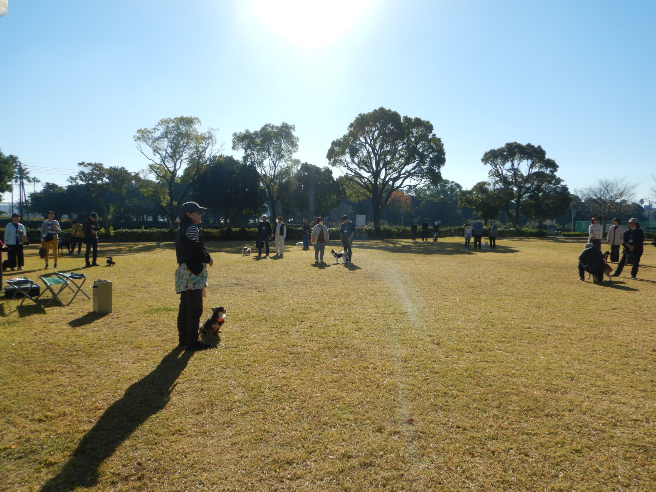 しつけ方教室全体1