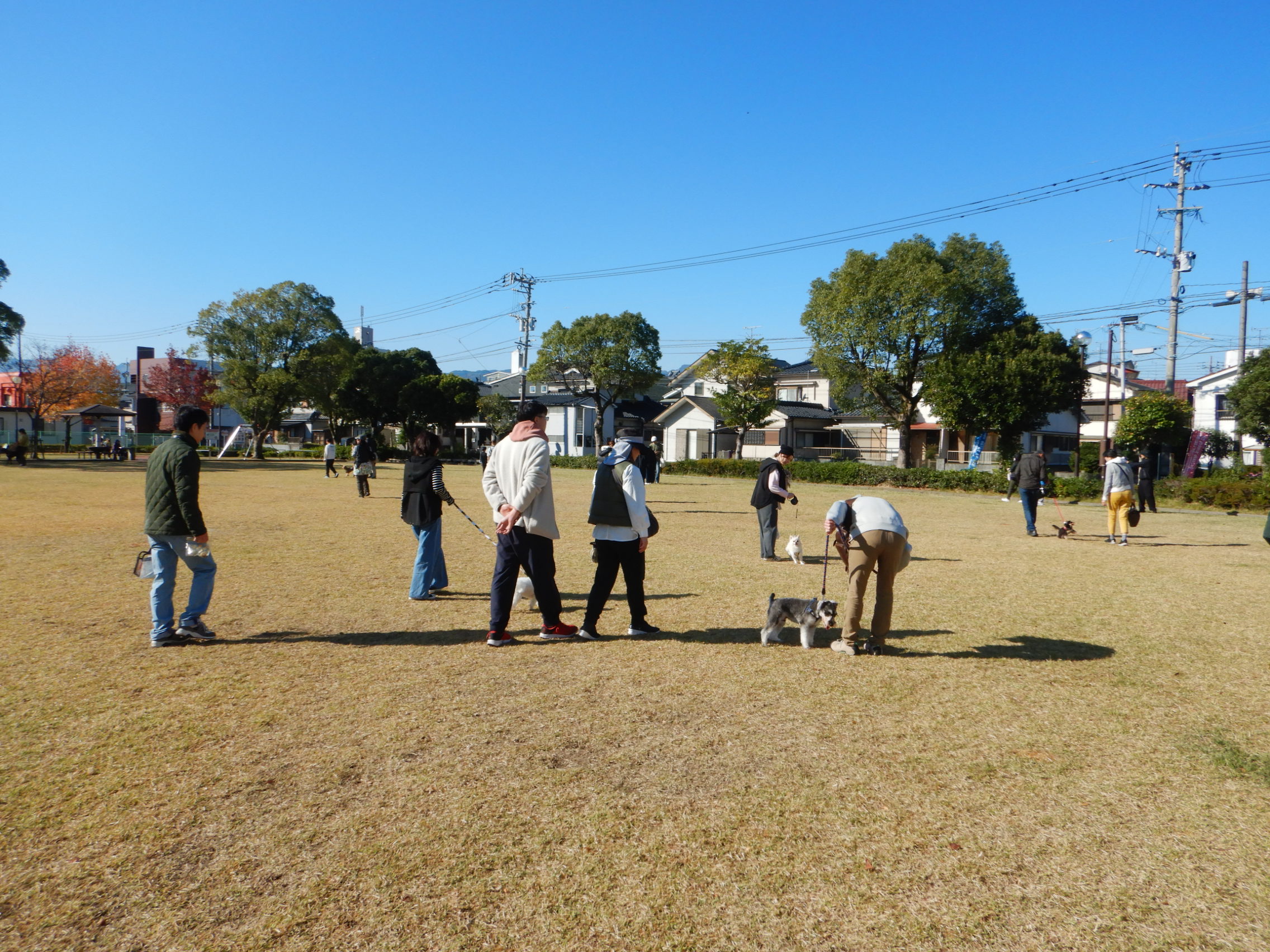 しつけ方教室全体4