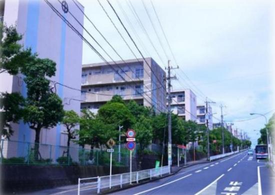 shashin