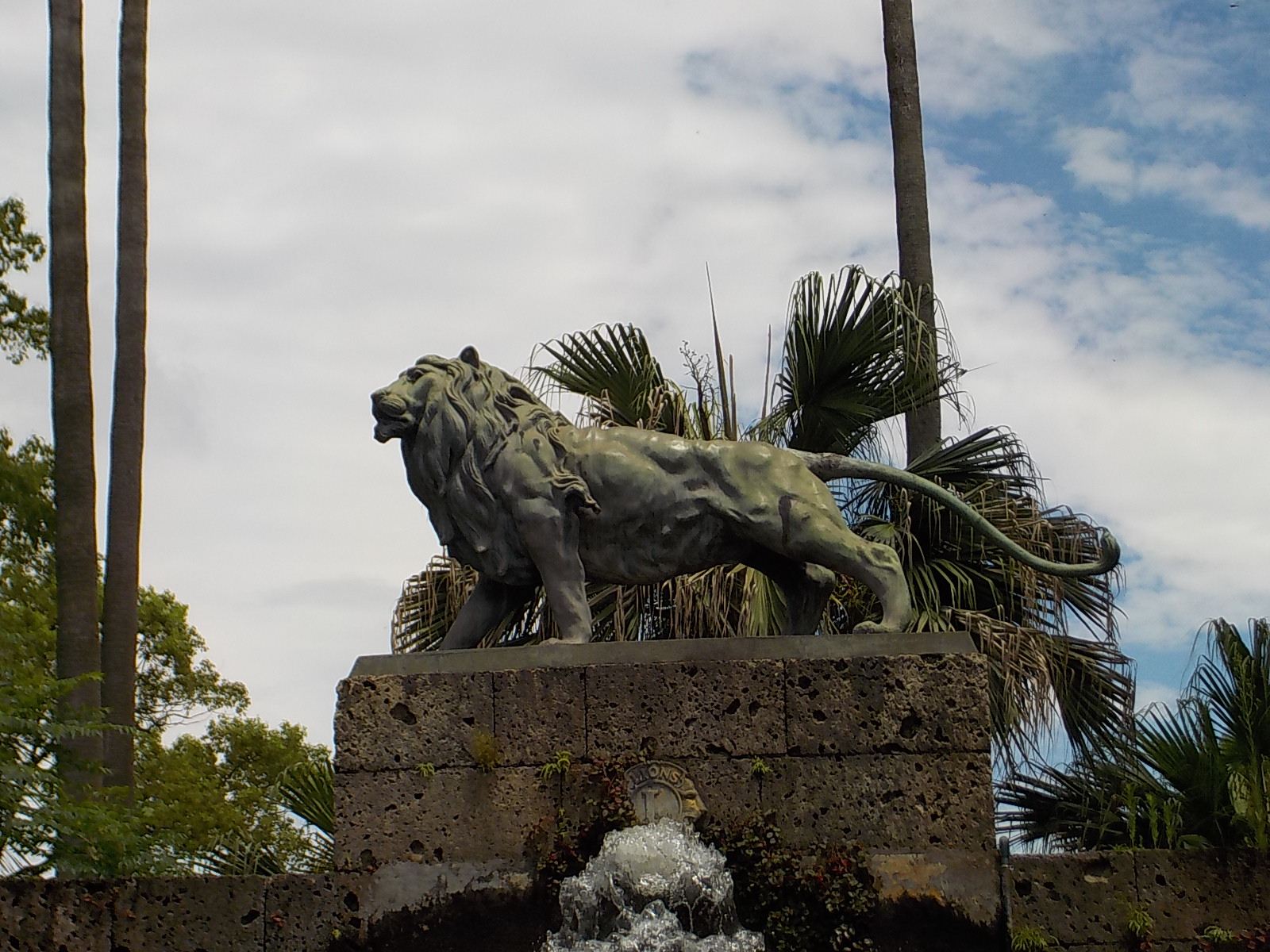 lion