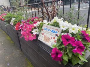 中央駅
