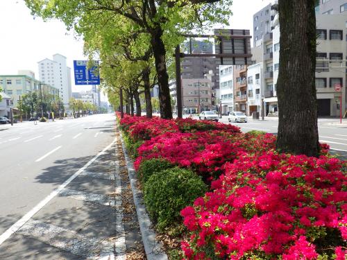 パース通り（全景写真）