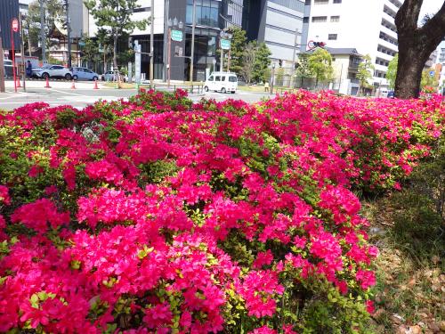 パース通り（写真2）