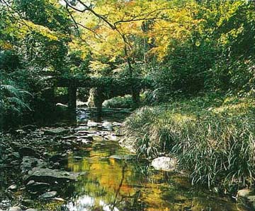 慈眼寺風致地区（慈眼寺公園内）