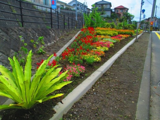 坂之上交差点いこいの花壇