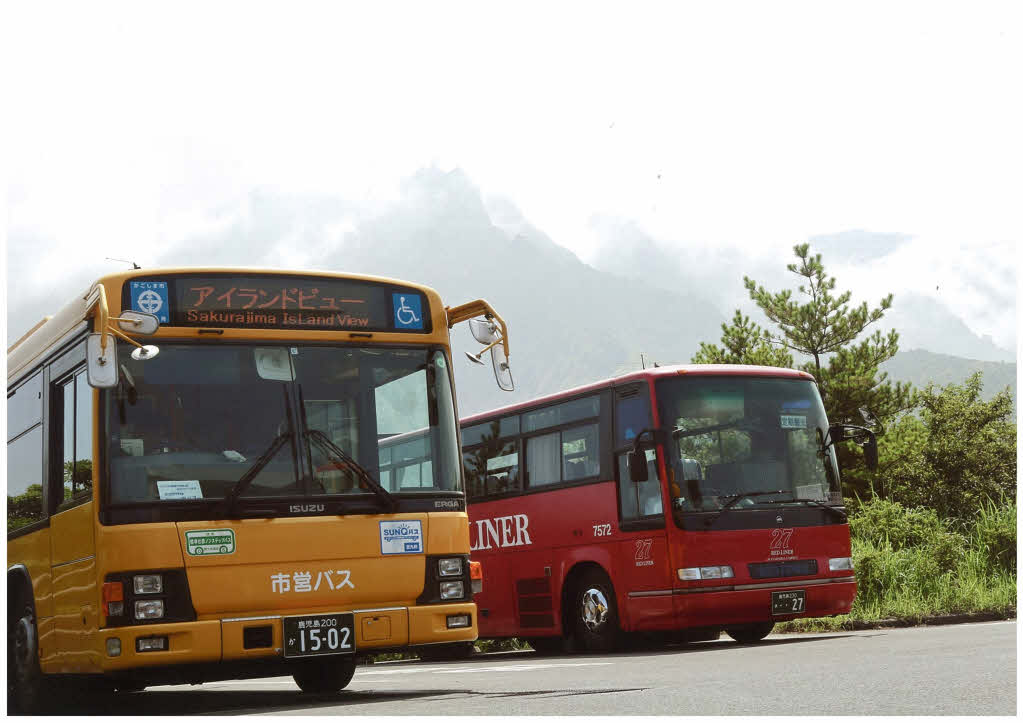 バスとバスと桜島
