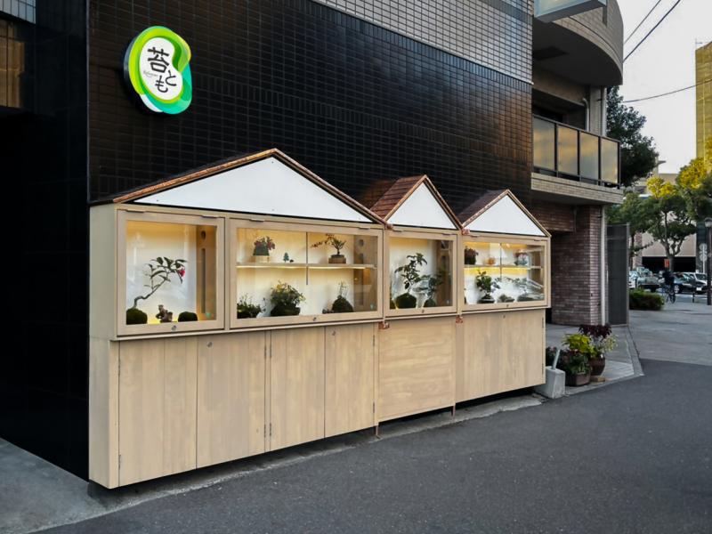 苔とも苔だまディスプレイ
