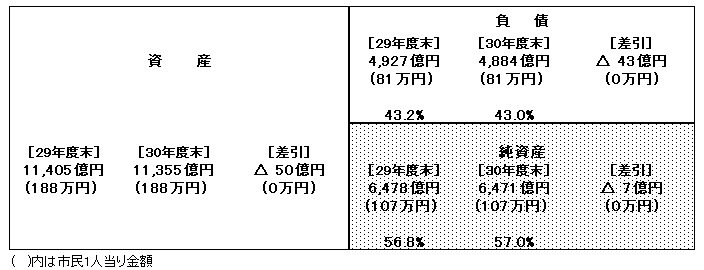 30貸借対照表（全体）