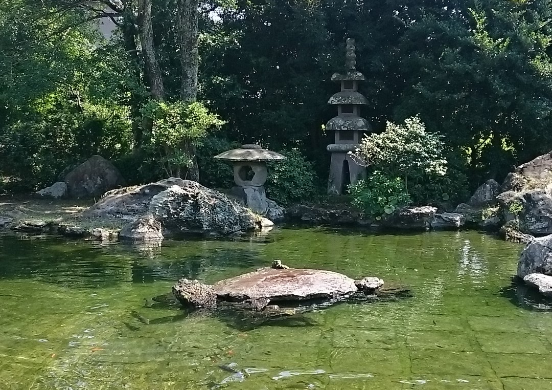 ueoniwakoi