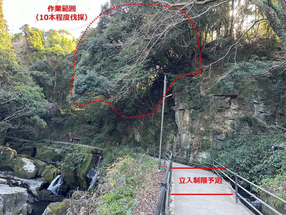 sekiyoshijyumokubassai