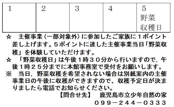 ポイントカード裏