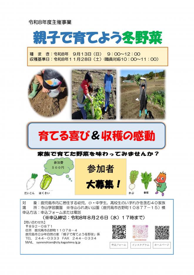 冬野菜チラシ