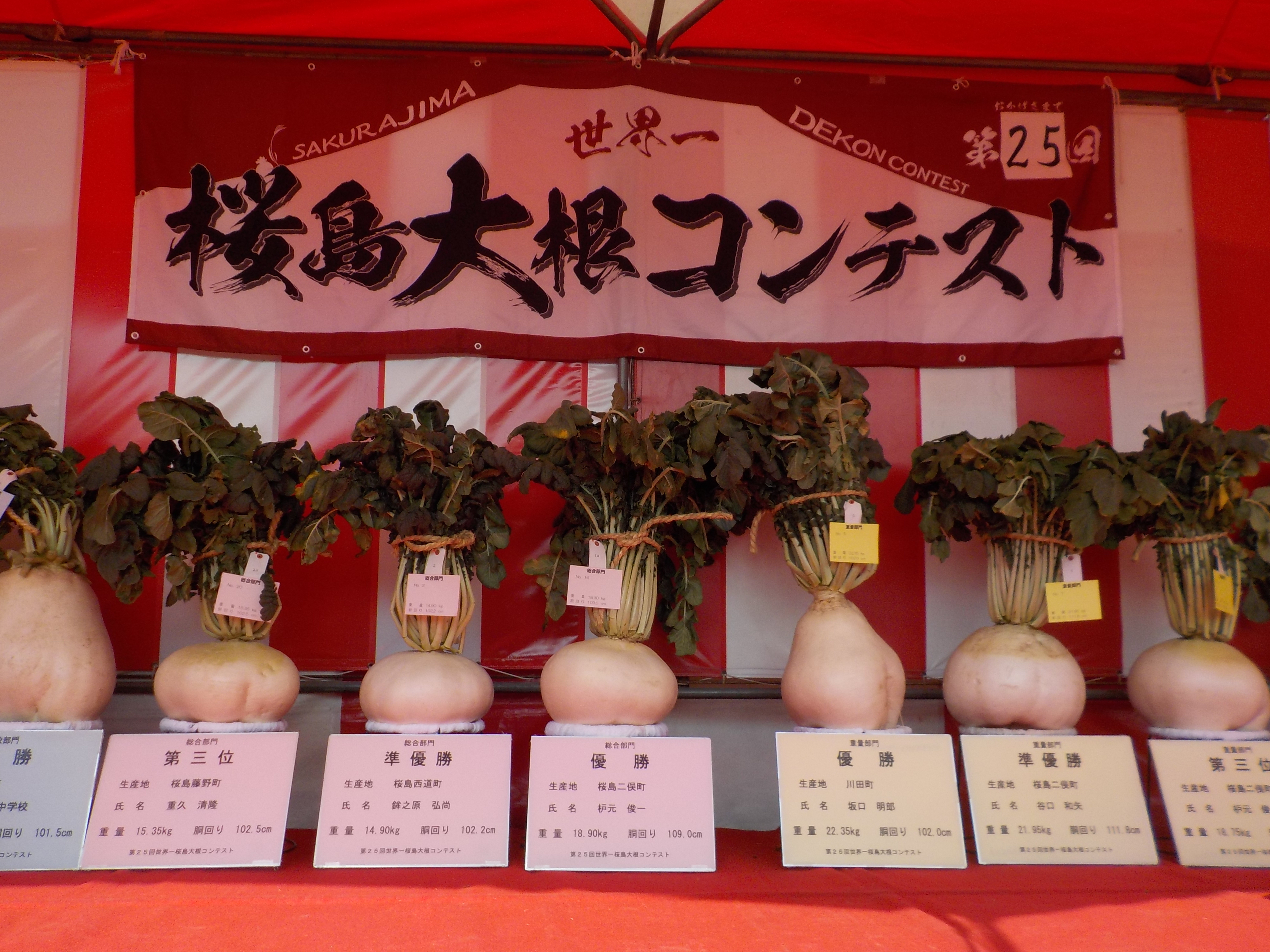 r6桜島大根表彰