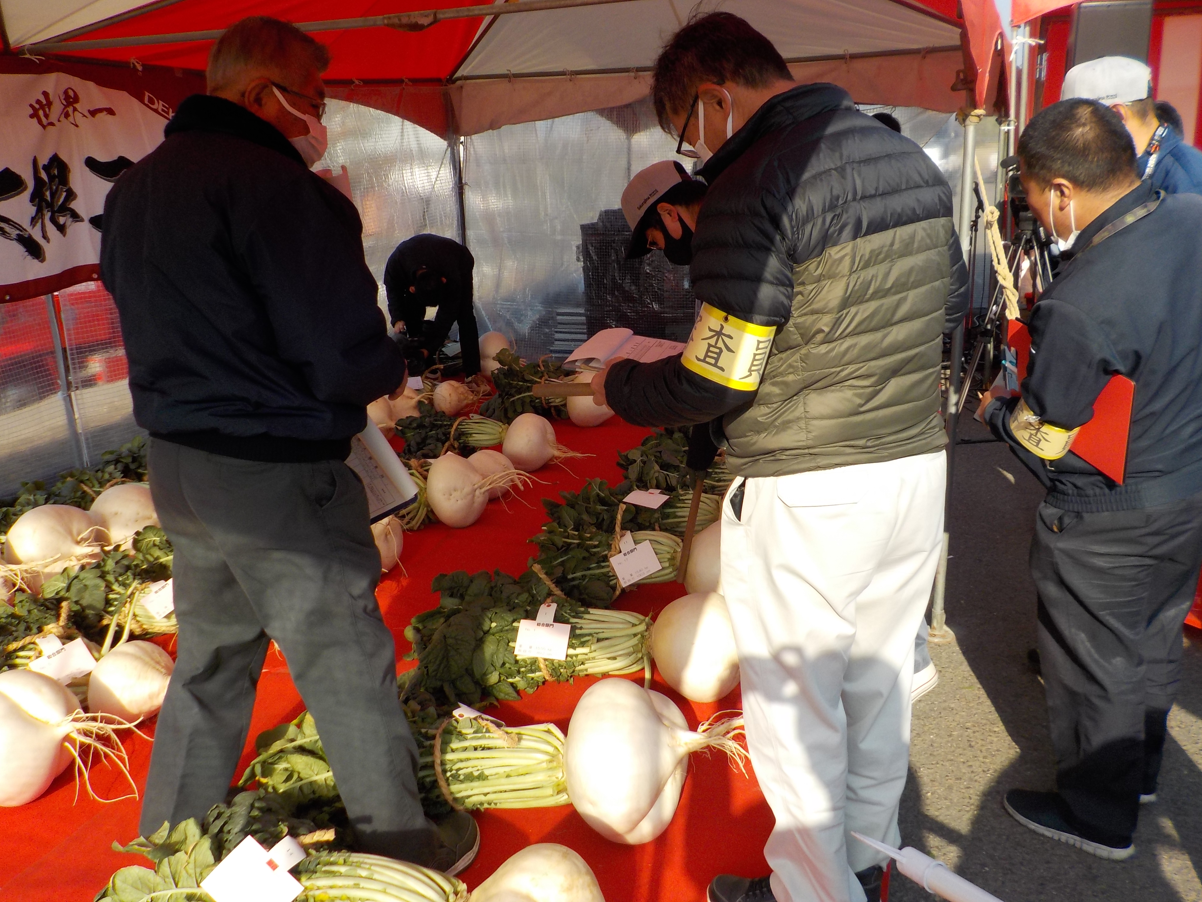 r6桜島大根審査