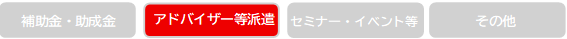 支援内容（アドバイザー等派遣）