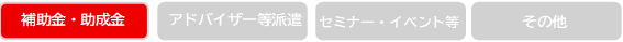 支援内容（補助金・助成金）